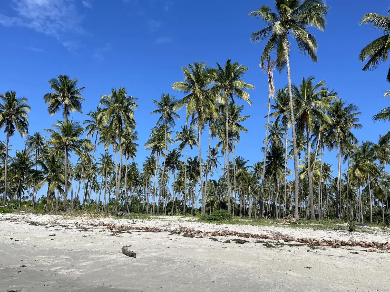 Beach Plort Inauzwa Tanga Eka 16