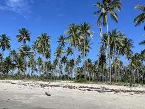 Beach Plort Inauzwa Tanga Eka 16
