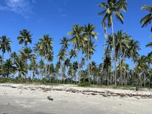 Beach Plort Inauzwa Tanga Eka 16