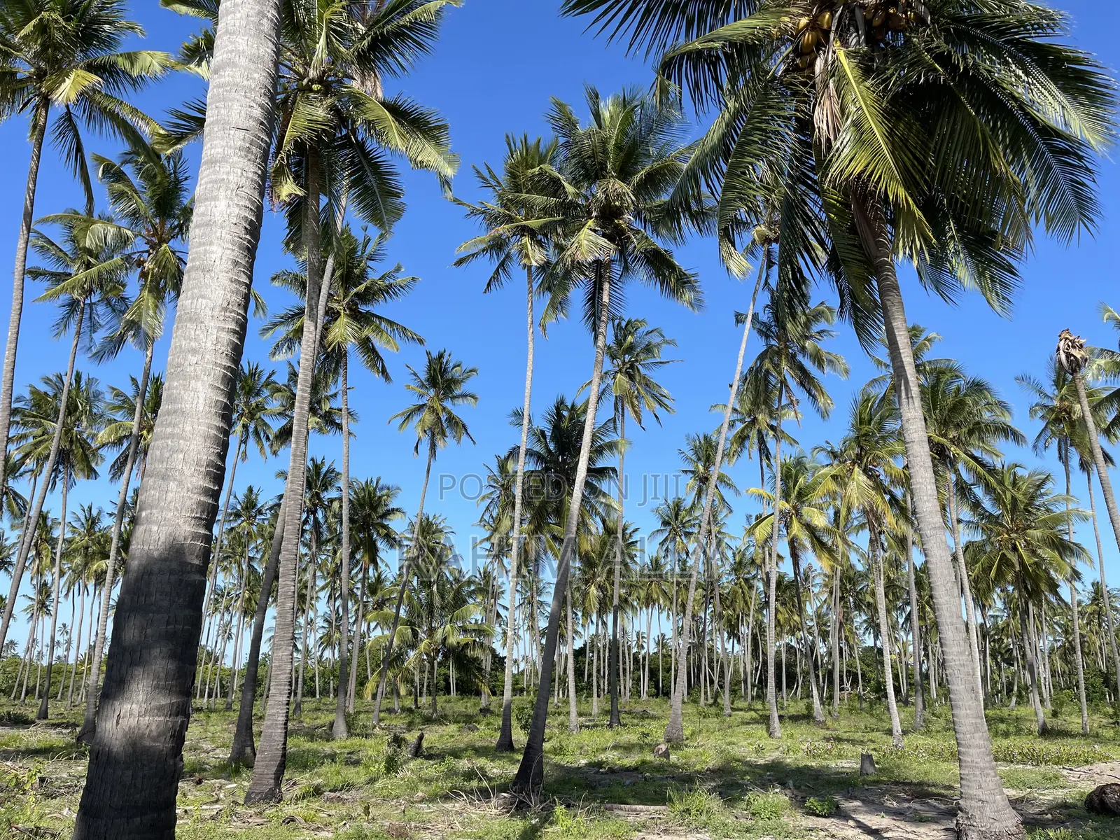 Beach Plort Inauzwa Tanga Eka 16