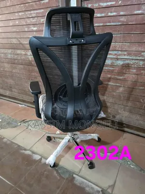 Egronmic Chairs