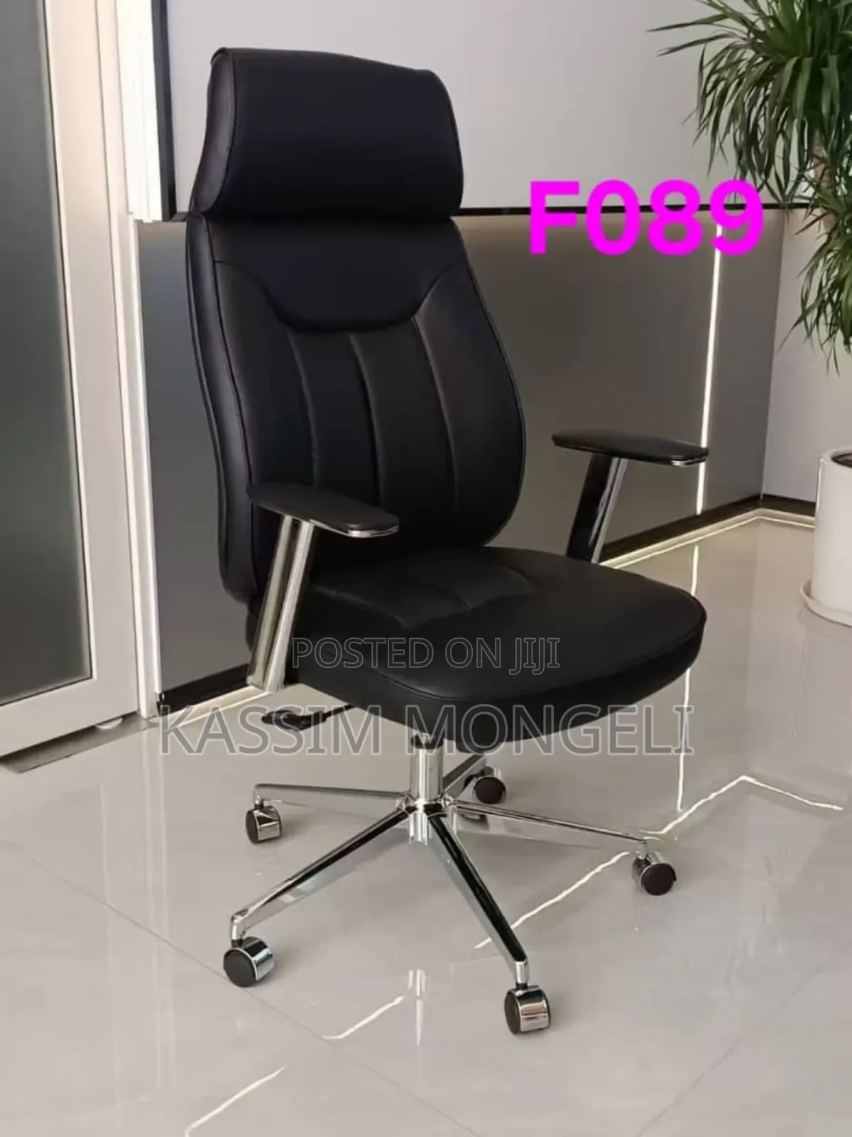 Egronmic Chairs