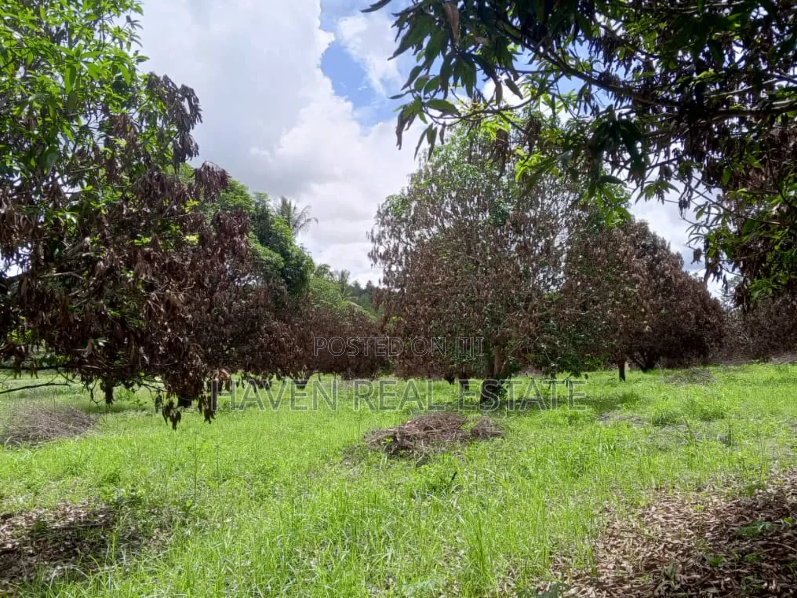 78 Acres Zinauzwa Mkuranga Zinatizama Kilwa Road