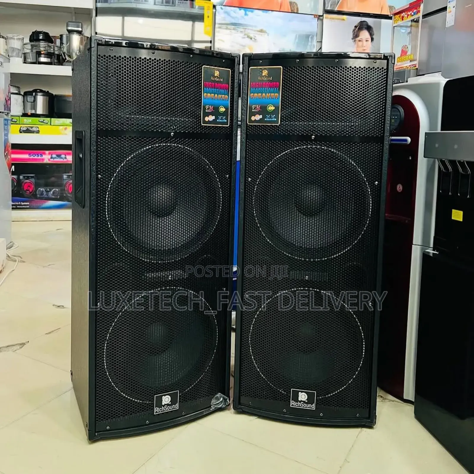 Richsound Professional Speaker System 12 Inches