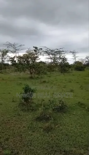 Ekari 4670 Zinauzwa Tanga Pangani