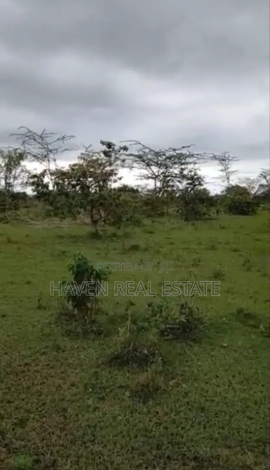 Ekari 4670 Zinauzwa Tanga Pangani