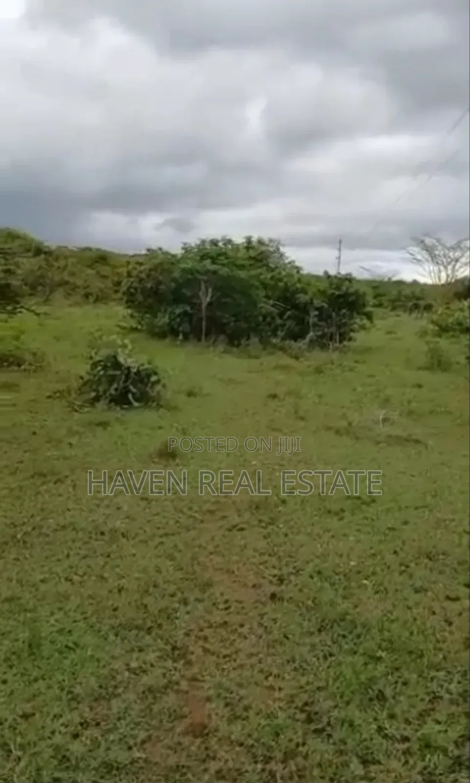 Ekari 4670 Zinauzwa Tanga Pangani