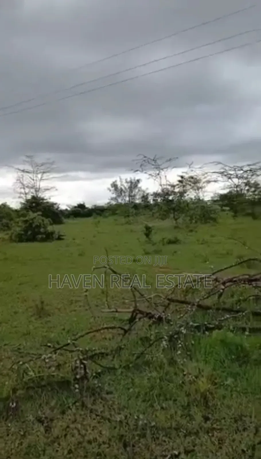 Ekari 4670 Zinauzwa Tanga Pangani