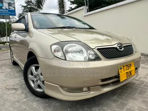 Toyota Corolla RunX 2002 Gold