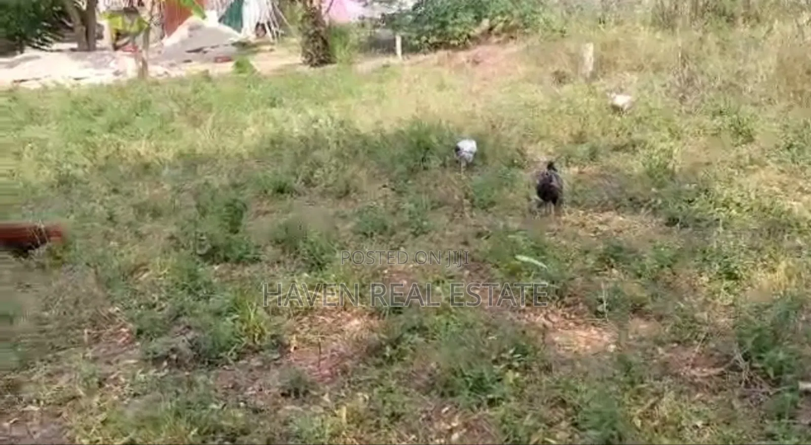 Kiwanja Kinauzwa Kimara