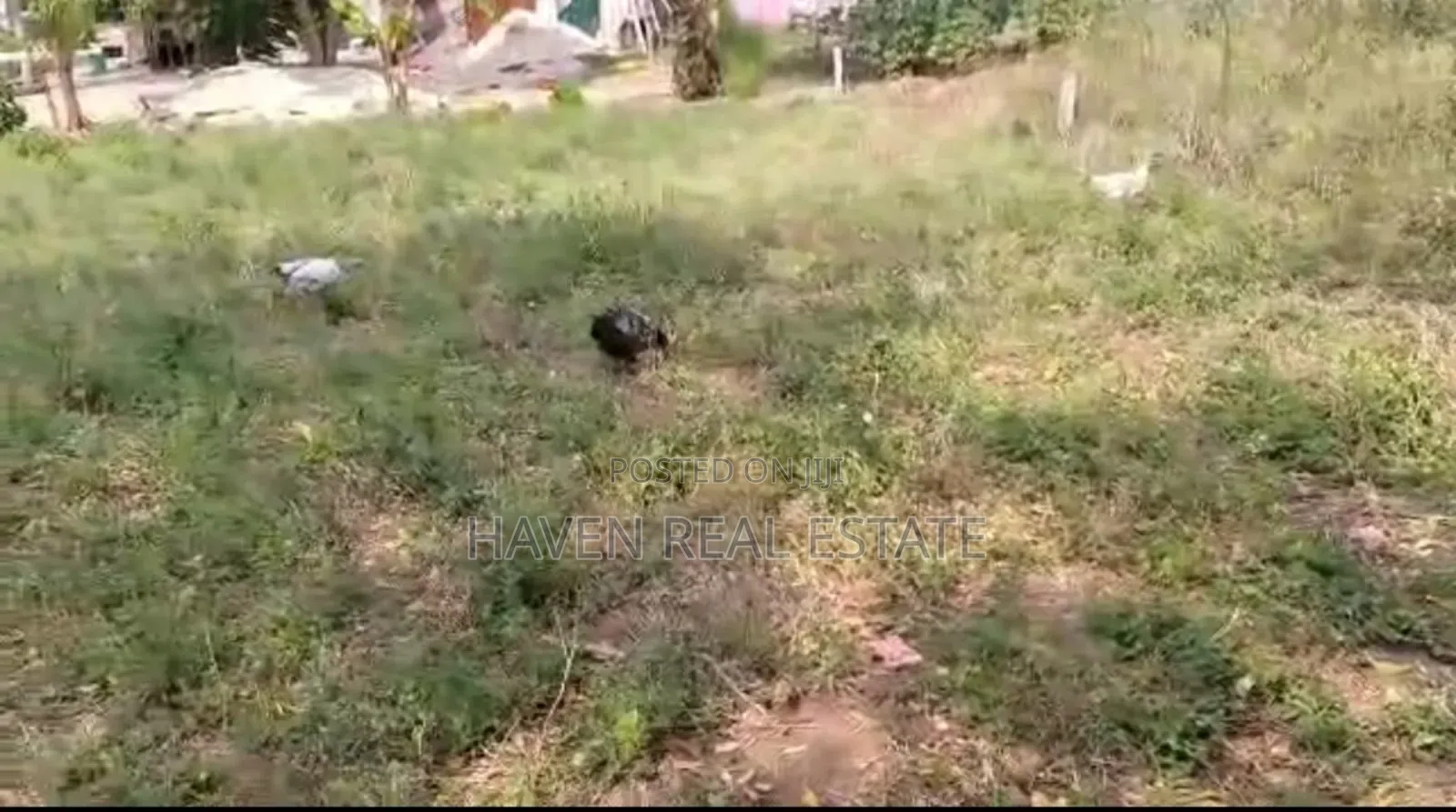 Kiwanja Kinauzwa Kimara