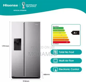 Hisense Fridge H690ss