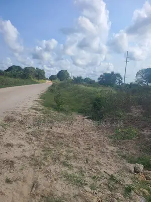 Shamba(Farm) Agriculture Land For Sale Near Siji River Tanga