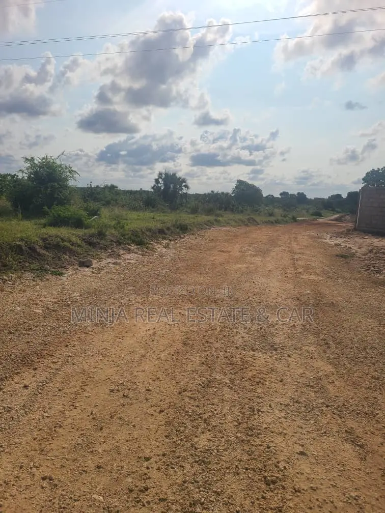 Shamba(Farm) Agriculture Land For Sale Near Siji River Tanga