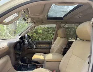 Toyota Land Cruiser 2001 Pearl