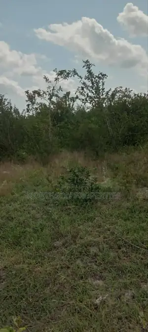 Plot in Bagamoyo Town