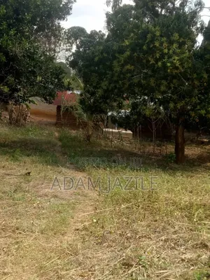Shamba La Ekari 34 Lenye Mazao Linauzwa Mbwewe Pwani