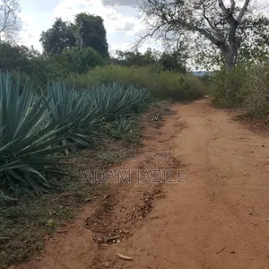 Shamba La Ekari 585 Linauzwa Pozo Handeni Tanga