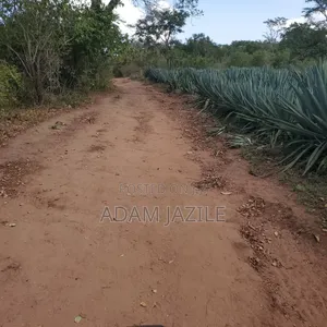 Shamba La Ekari 585 Linauzwa Pozo Handeni Tanga