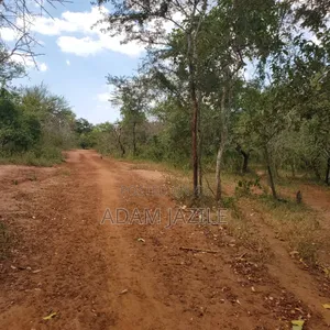 Shamba La Ekari 585 Linauzwa Pozo Handeni Tanga