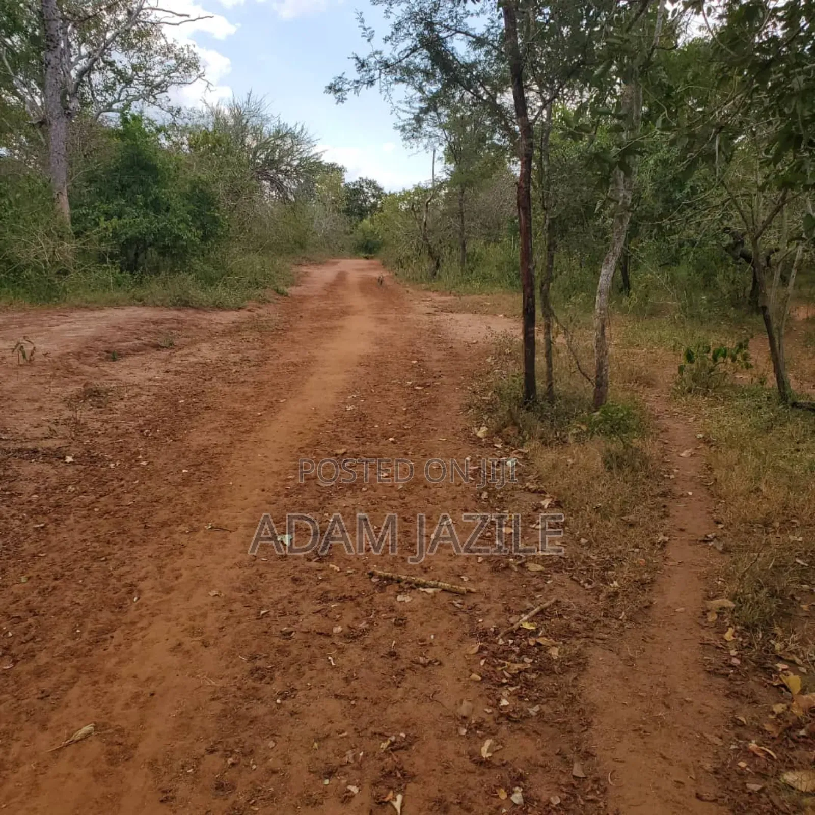 Shamba La Ekari 585 Linauzwa Pozo Handeni Tanga