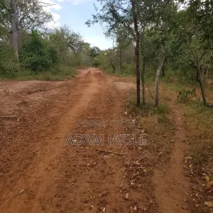Shamba La Ekari 585 Linauzwa Pozo Handeni Tanga