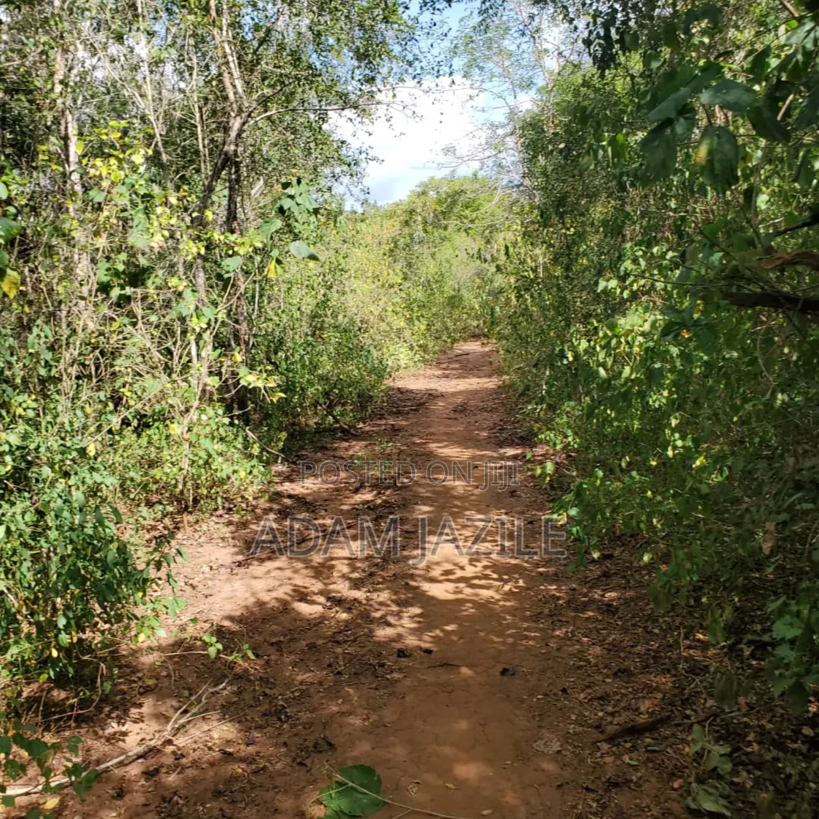 Shamba La Ekari 585 Linauzwa Pozo Handeni Tanga