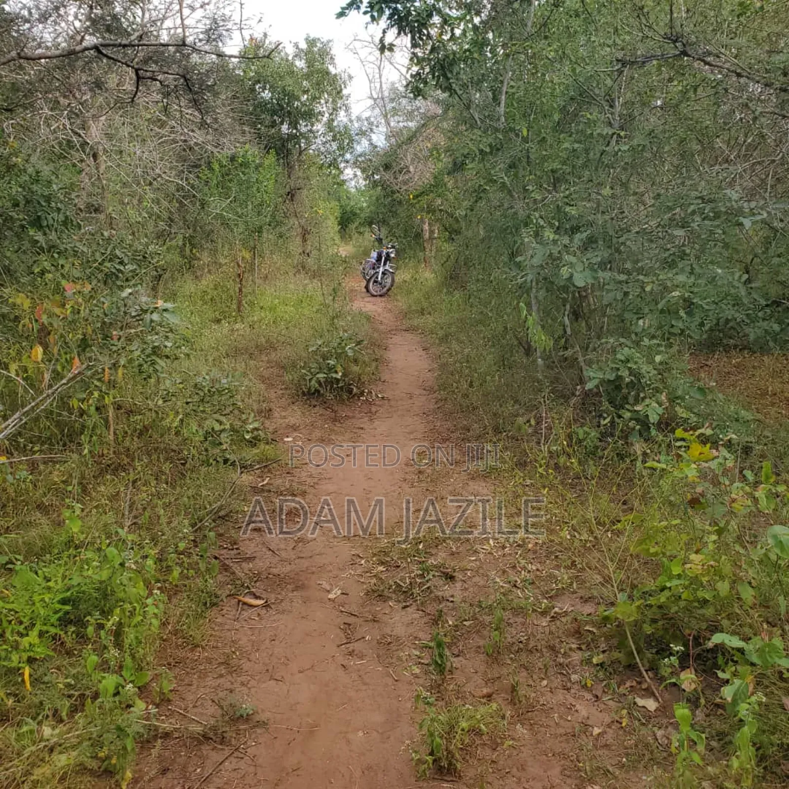 Shamba La Ekari 585 Linauzwa Pozo Handeni Tanga