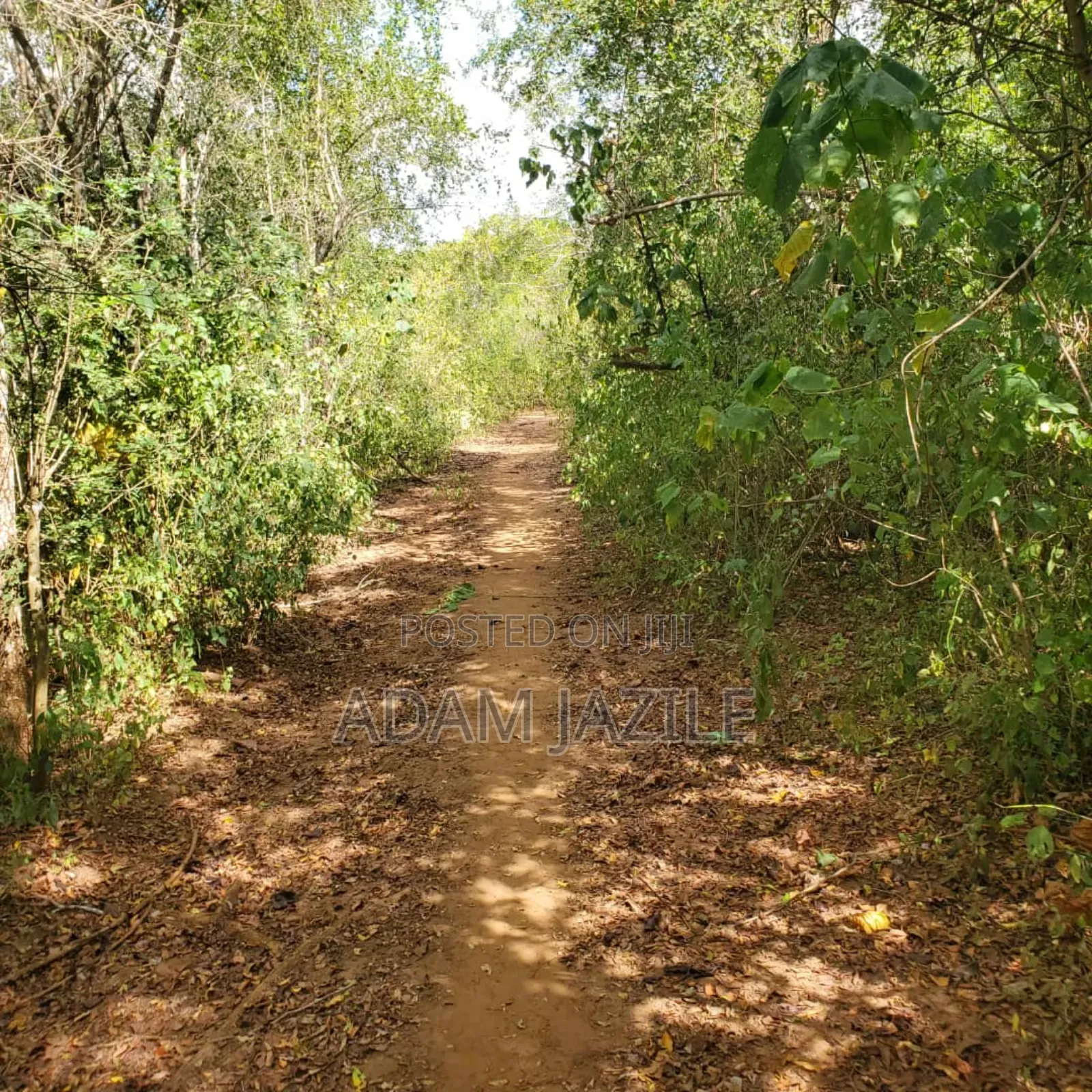 Shamba La Ekari 585 Linauzwa Pozo Handeni Tanga