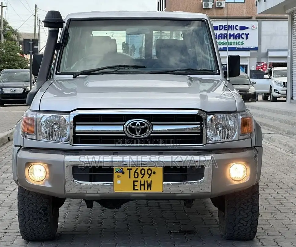 Toyota Land Cruiser 2007 Silver