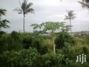 2014 SQM Mabwepande Plot for Sale