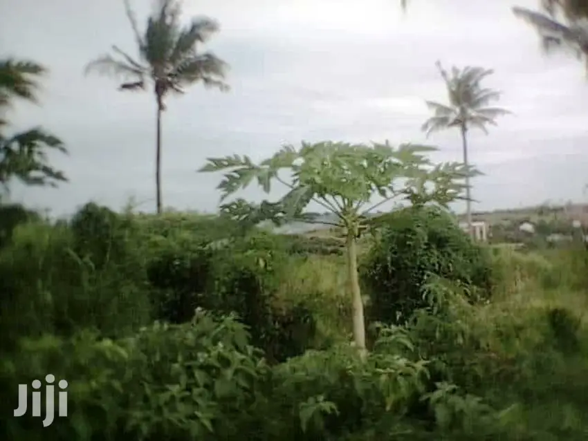 2014 SQM Mabwepande Plot for Sale