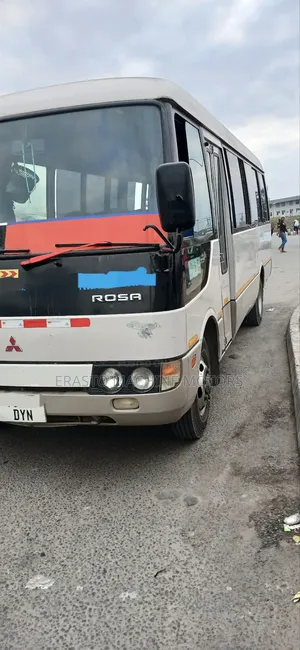 Mitsubishi Fuso Rosa 2000 Brown
