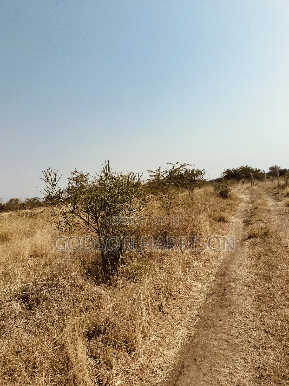 Twelve Acres for Sale in Arusha