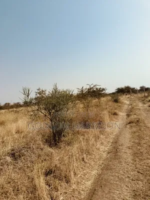 Twelve Acres for Sale in Arusha