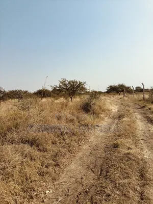 Twelve Acres for Sale in Arusha