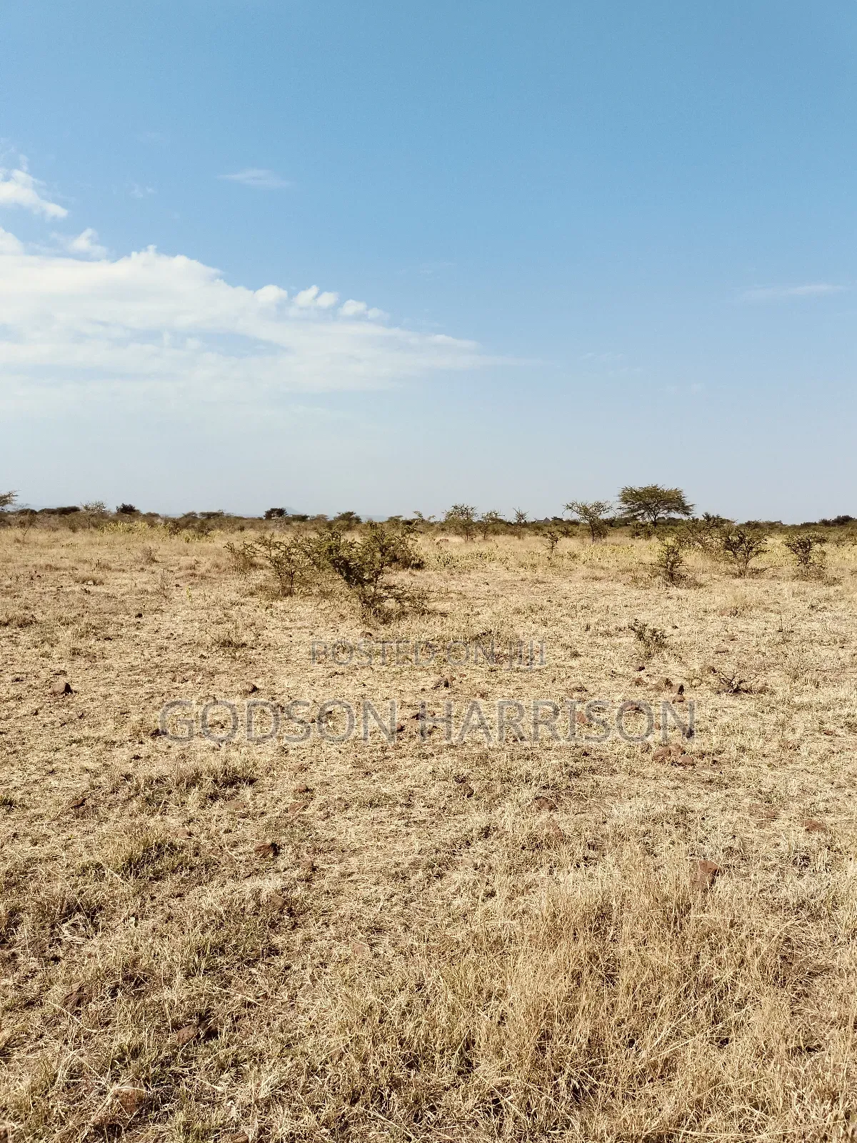 Twelve Acres for Sale in Arusha