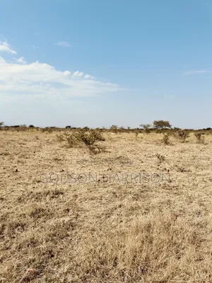 Twelve Acres for Sale in Arusha