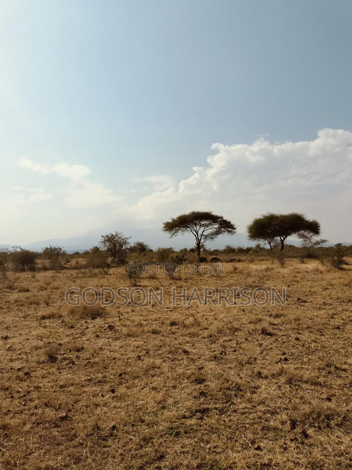 Twelve Acres for Sale in Arusha