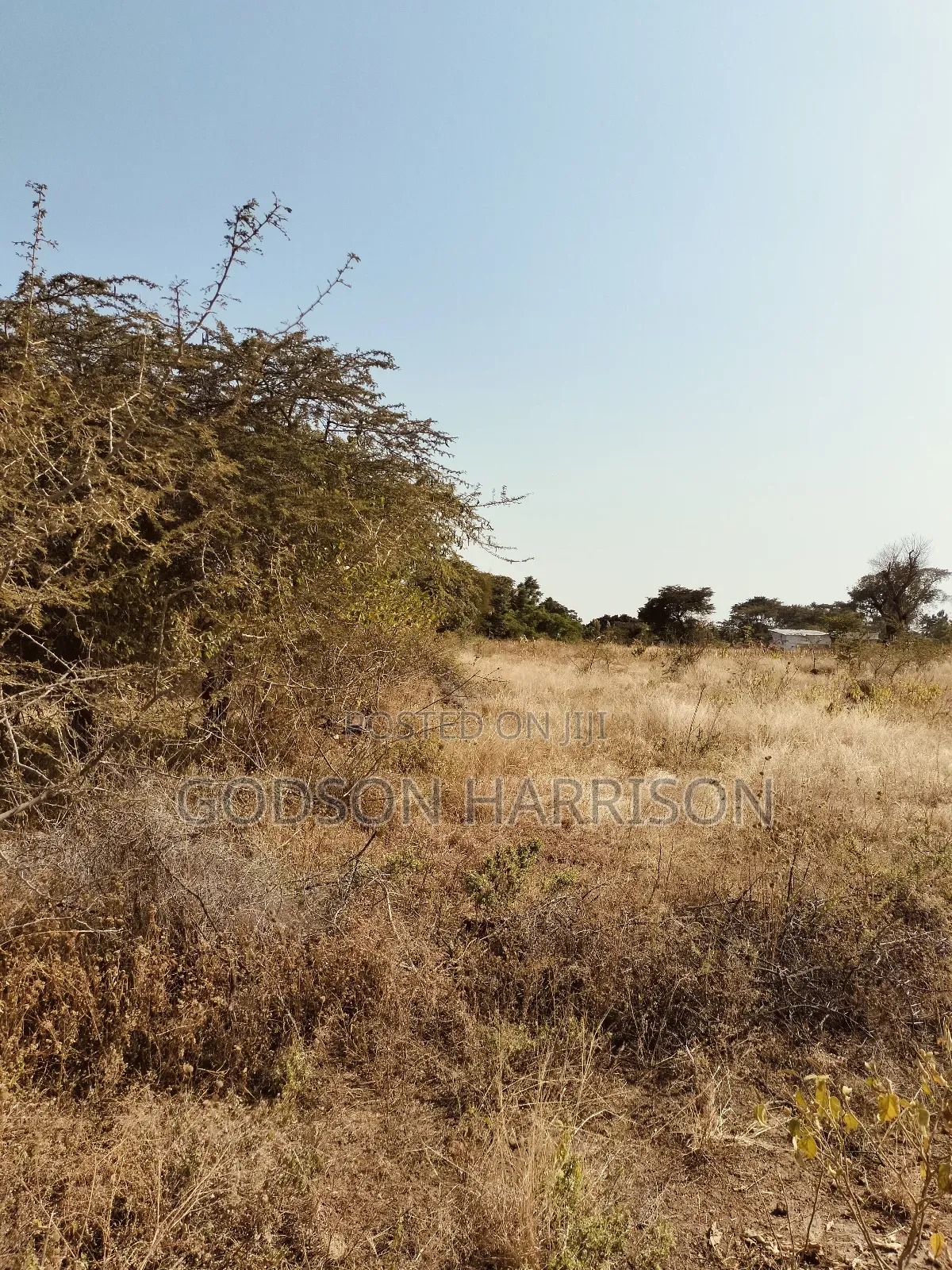 Twelve Acres for Sale in Arusha