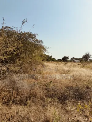 Twelve Acres for Sale in Arusha