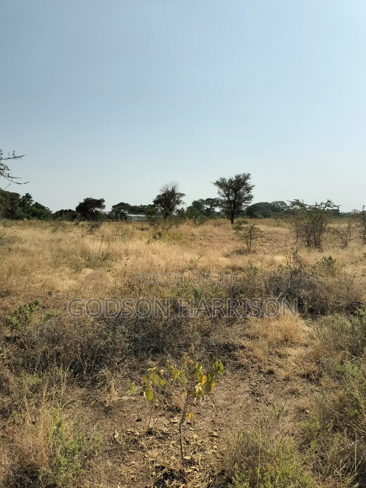 Twelve Acres for Sale in Arusha