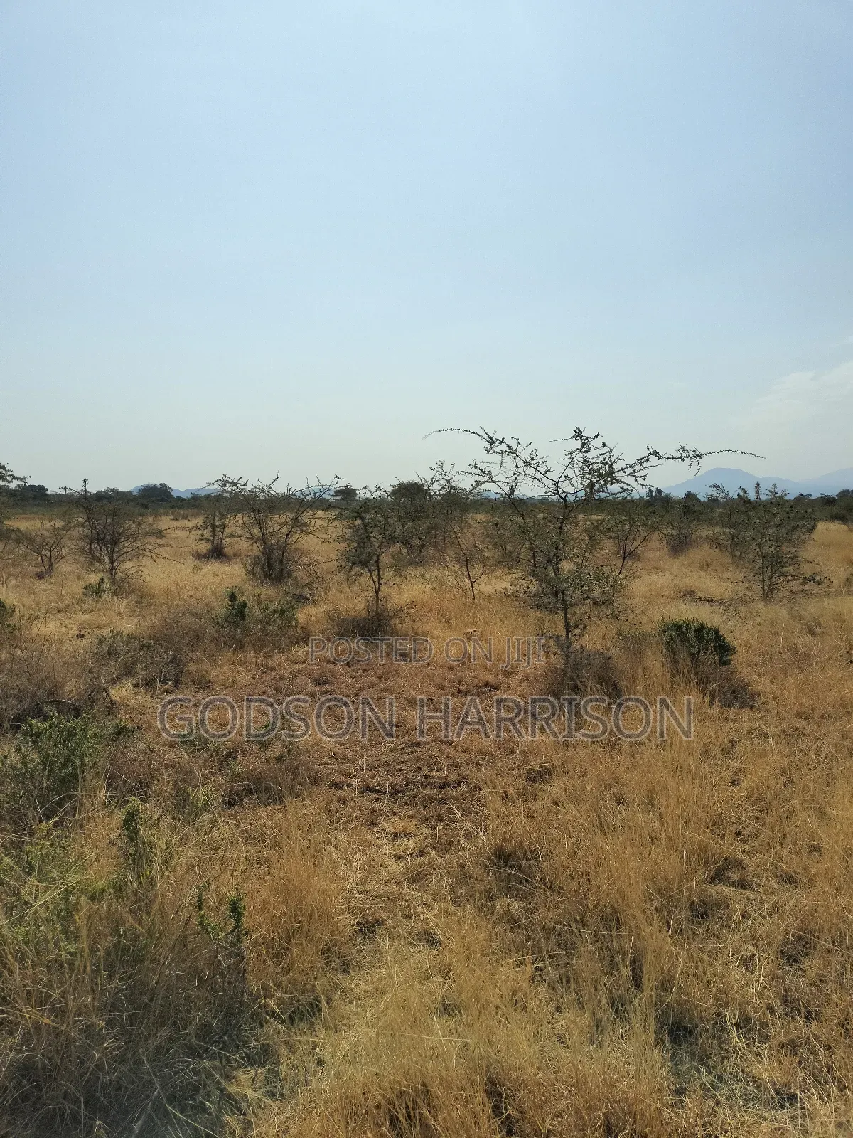 Twelve Acres for Sale in Arusha