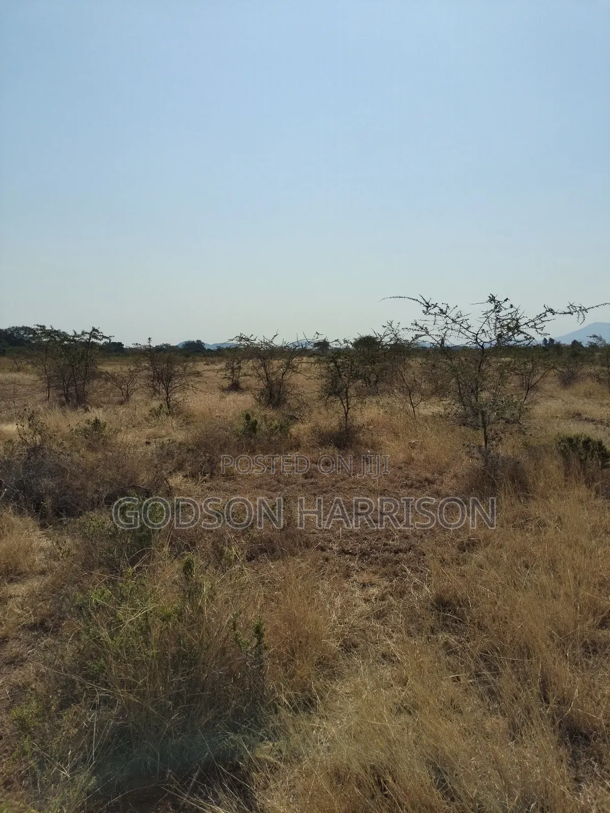 Twelve Acres for Sale in Arusha