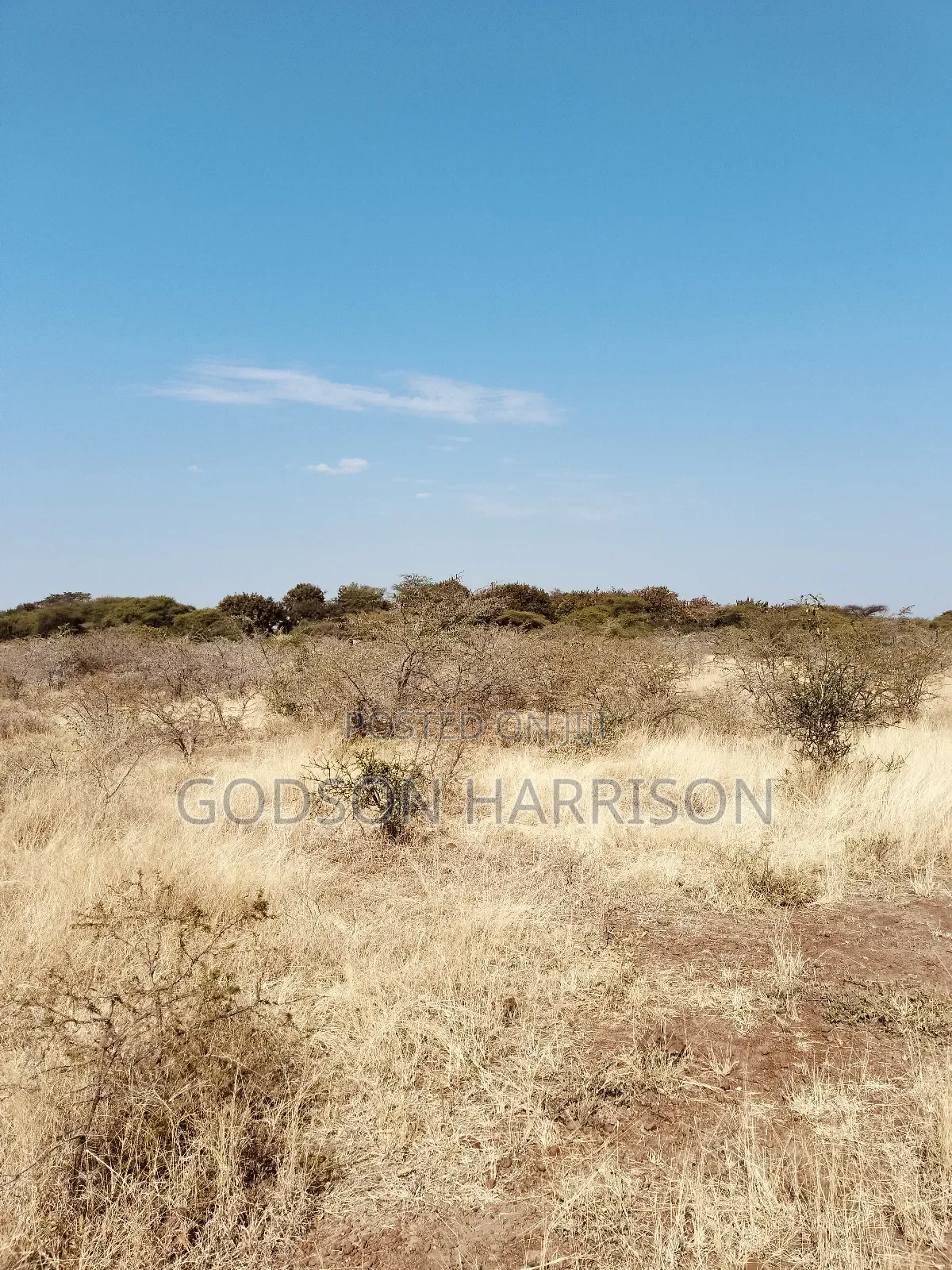 Twelve Acres for Sale in Arusha