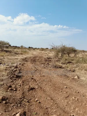 Shamba Hekari 2 Zinauwa Arusha Kikwe