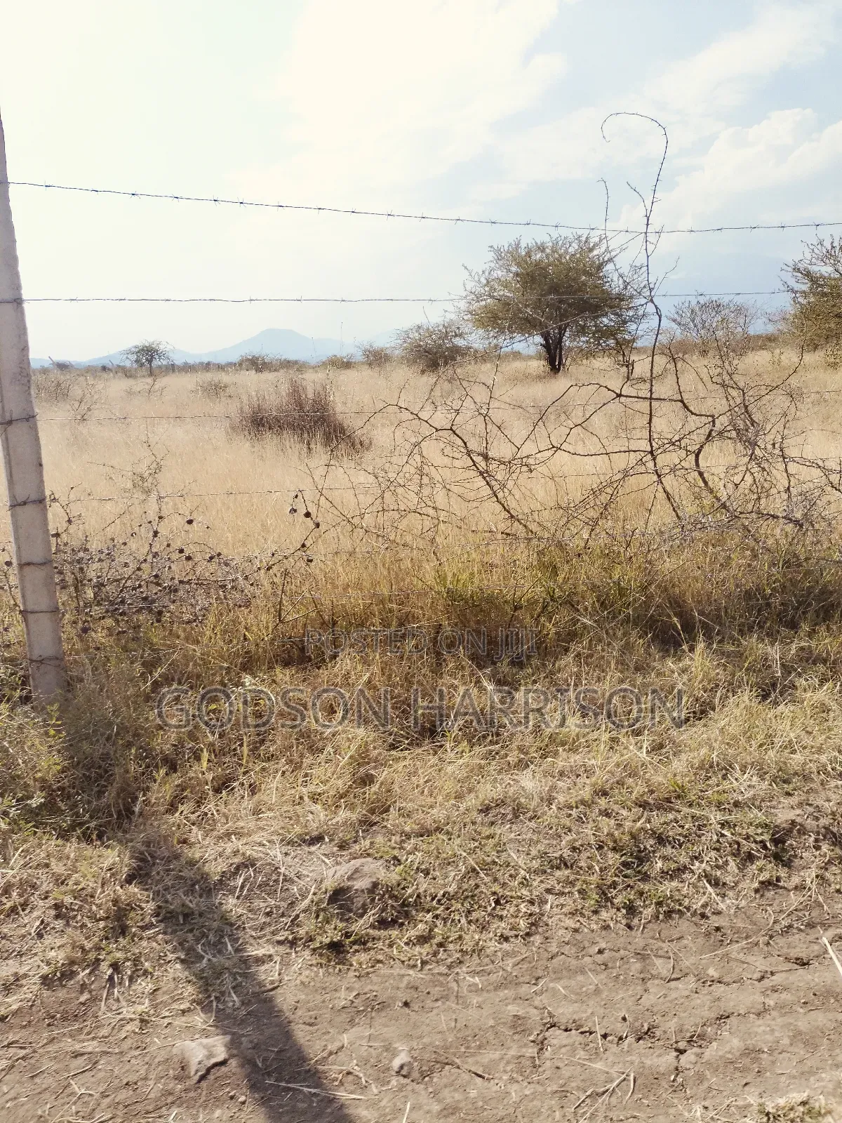 Shamba Hekari 2 Zinauwa Arusha Kikwe