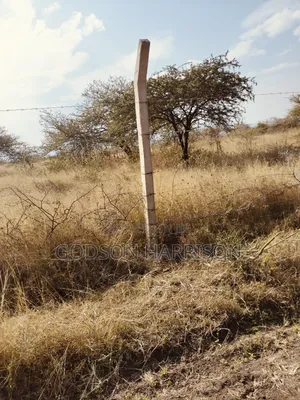 Shamba Hekari 2 Zinauwa Arusha Kikwe
