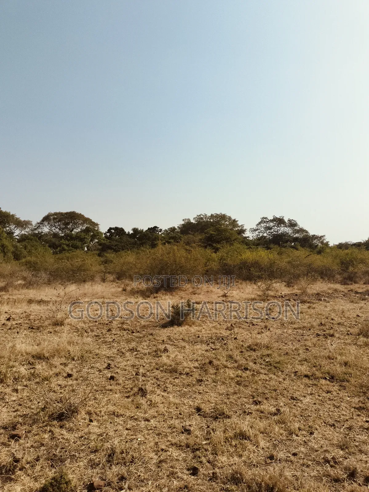 Shamba Hekari 2 Zinauwa Arusha Kikwe