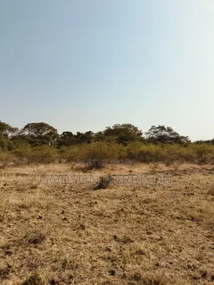 Shamba Hekari 2 Zinauwa Arusha Kikwe